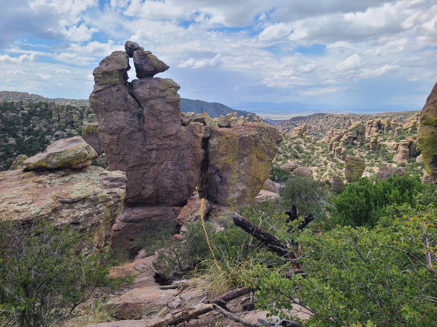 Rock pinnacles at Massai Point, Chiricahua National Monument
